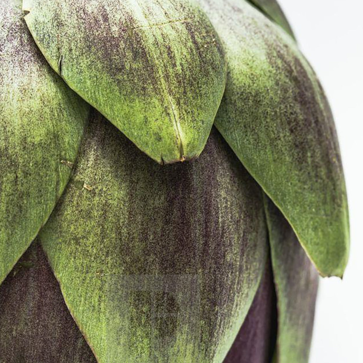 CARE DANDRUFF DETOX PURIFYING SHAMPOO 300ml