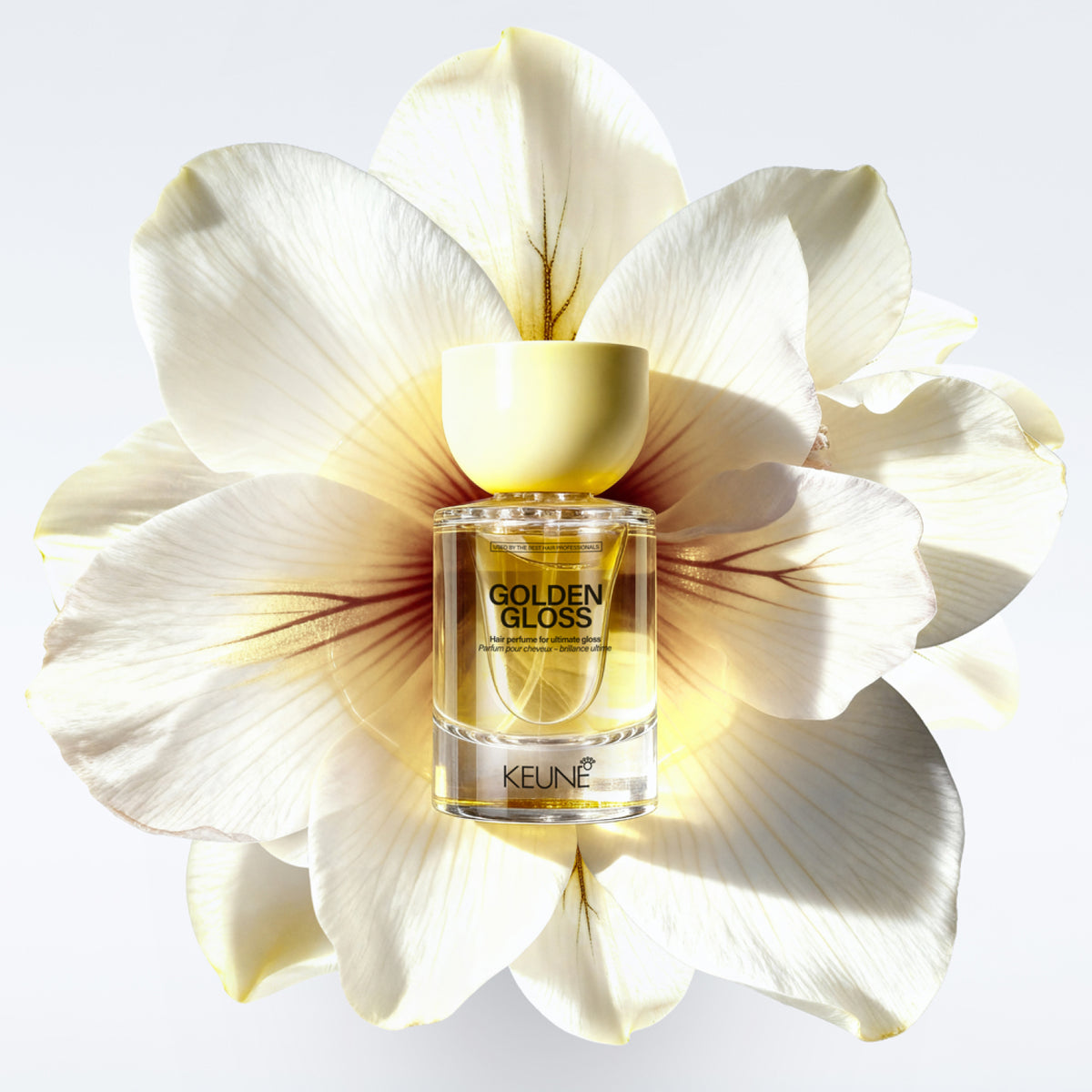 GOLDEN GLOSS 50ml