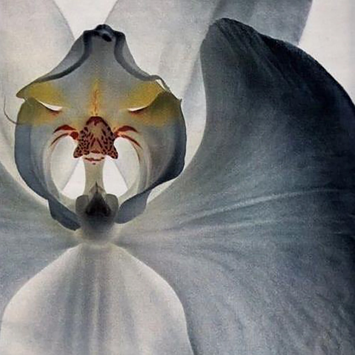 CARE RADIANT GLOSS ILLUMINATING MASK 250ml